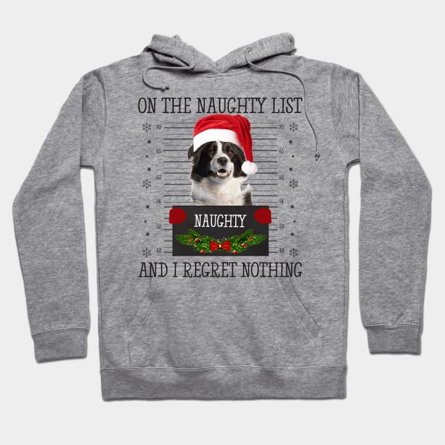 On The Naughty List, And I Regret Nothing Hoodie by CoolTees